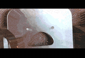 external_gif