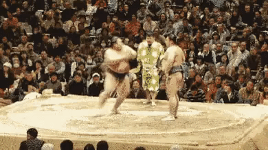 Best Sumo Player Ever in funny gifs
