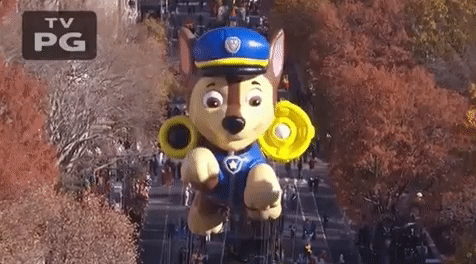 Macysparade GIF by The 91st Annual Macy’s Thanksgiving Day Parade