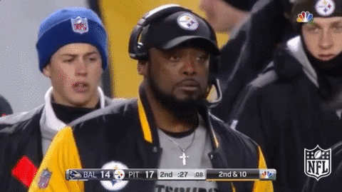 Image result for Mike tomlin gif