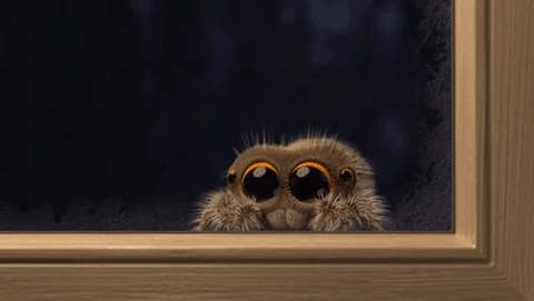 Lucas the Spider — новое видео с очаровательным паучком Лукасом, которое избавит вас от арахнофобии Lucas the Spider, паучок Лукас, паук Лукас мультфильм, паук Лукас видео