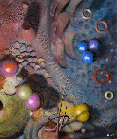 Animation Loop GIF by Uwe Heine Debrodt