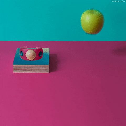 Collage Accessories GIF by Passch