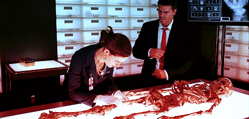 A GIF from the television show Bones where the forensic anthropologist Bones is examining a skeleton on a table.