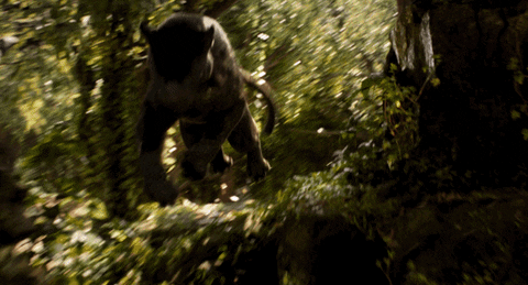 Super Bowl Disney GIF by Disney's The Jungle Book