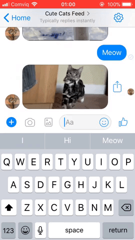 Cute Cat Bot