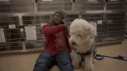 Season 1 Lincoln Rice GIF by Broad City