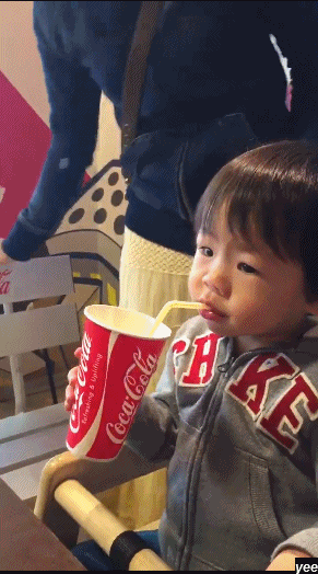 Drink All in funny gifs