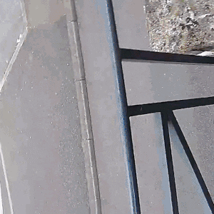 https://media.giphy.com/media/3o6ozs1jI9QbF6bnRC/giphy.gif