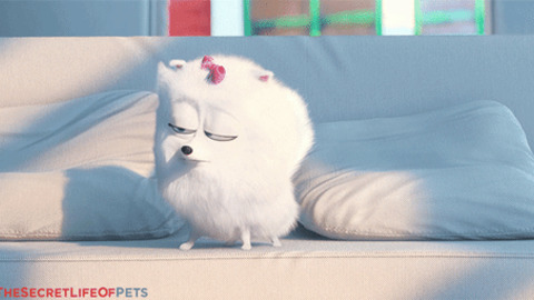 how long is secret life of pets movie how long is secret life of pets movie