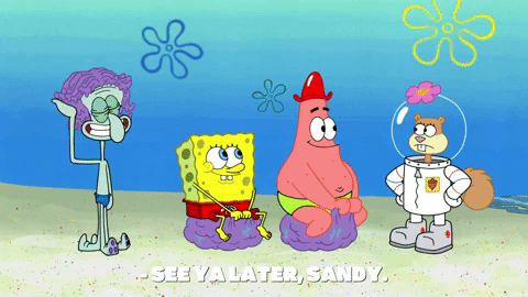 download spongebob season 9 full