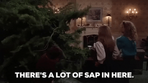 Christmas Vacation GIF - Find &amp; Share on GIPHY