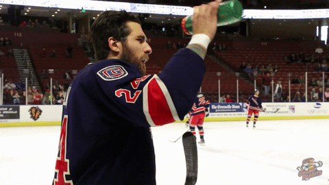 Hockey GIF by Greenville Swamp Rabbits