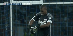 mls