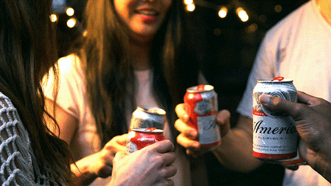 Budweiser beer party summer america