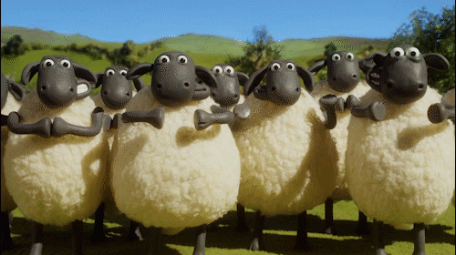 Image result for shaun sheep clapping gif