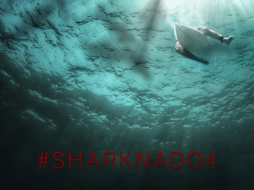 ian ziering sharks gif by syfy find share on giphy the shallows shark size