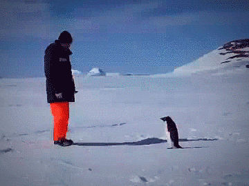 https://media.giphy.com/media/3o72FkSt5k8myBMDXa/giphy.gif
