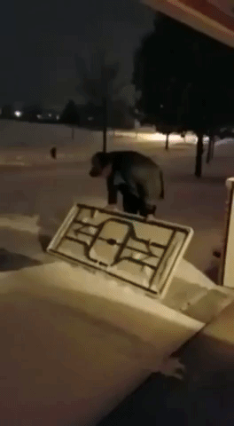 Clearing Snow With Table in funny gifs