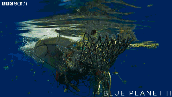 Plastika plava v morju