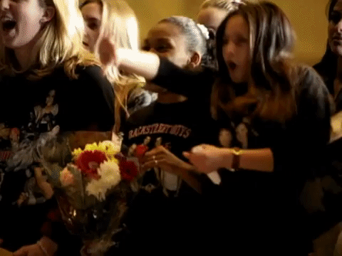 Backstreet Boys Fangirls GIF