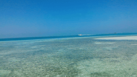 Seaplane Taking Off In The Maldives GIF - Find & Share on GIPHY