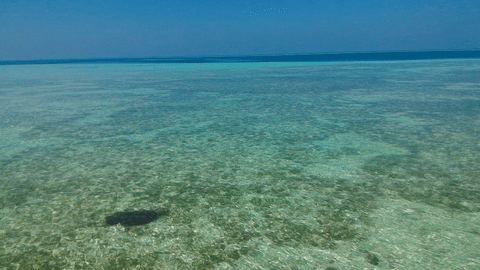 #Seascape #Maldives #Clearwatersea #Turquoise #Paradise GIF - Find & Share on GIPHY