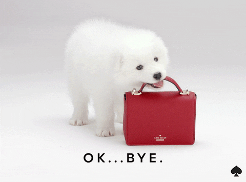 Ok GIF by kate spade new york - Find & Share on GIPHY