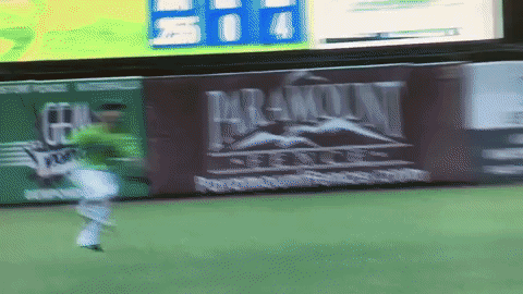Kane County Cougars GIF