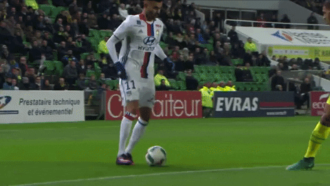 Les Gones Lyon GIF by Olympique Lyonnais