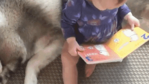 Funny Kid best Gif