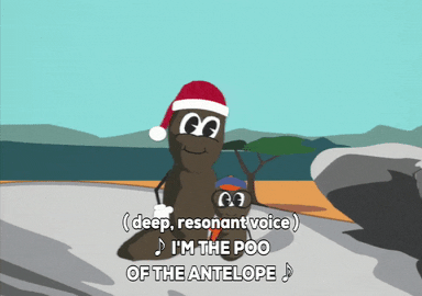Mr. Hanky GIF by South Park 