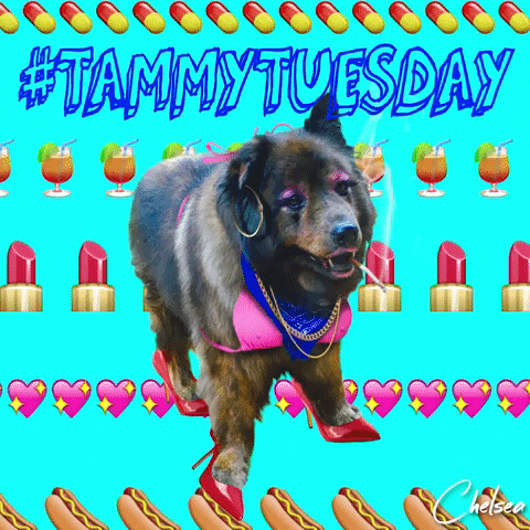 Dog Tammy GIF by Chelsea Handler