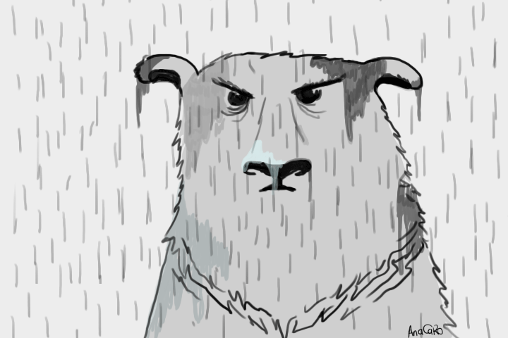 Image result for grumpy bear in rain gif