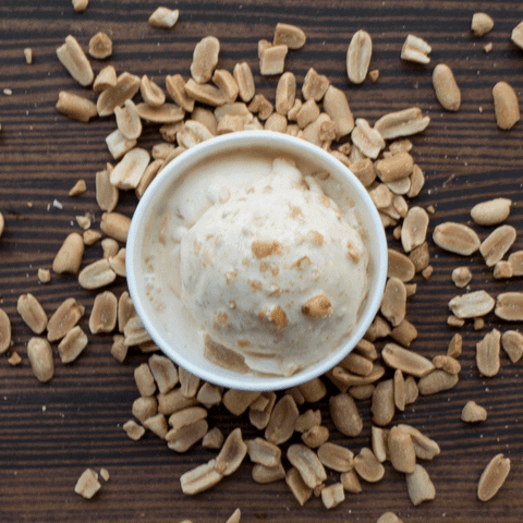 frozen custard