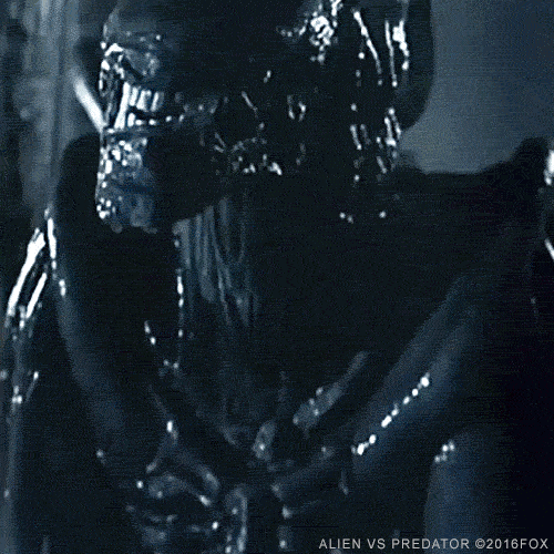 Porn life gay office porn photo Aliens predator gif find share on giphy-38605