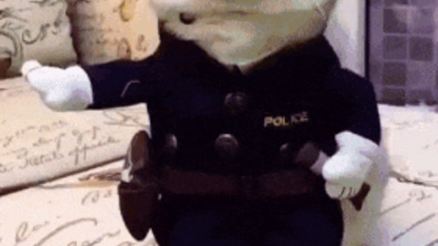 A cop from Kitty PD best Gif