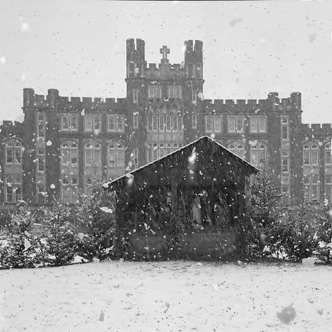 Snow at Marquette Hall manger
