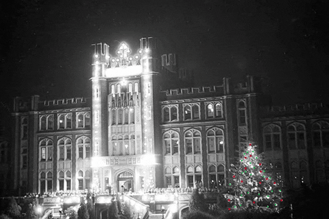 Marquette Christmas Lights