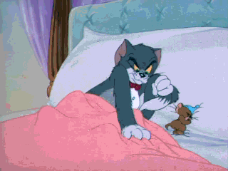 Take All The Bed in funny gifs