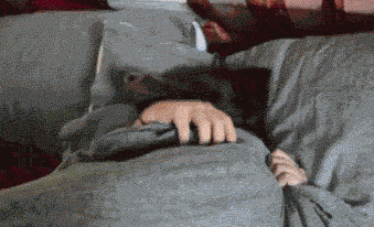imagenes gif,imagenes graciosas, las mejores imagenes, imagenes graciosas, chistes, risas