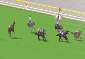 japan world cup 3 barrel horse ever win