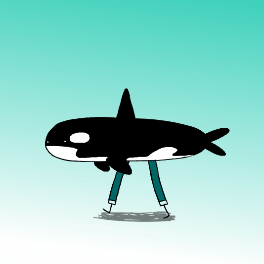 Killer Whale Walk Cycle GIF by EVANREDBORJA