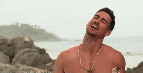 Josh Murray - BIP - Famously Single - Season 3 - *Sleuthing - Spoilers* #2 - Page 75 Giphy