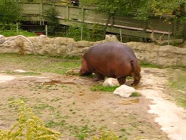 https://media.giphy.com/media/3o7TKxEf7nAGQkB2ww/giphy.gif
