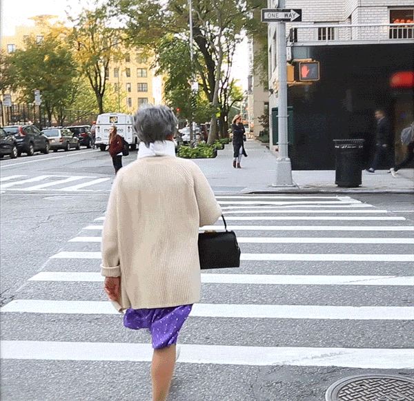 Weird Traffic Rules Around The World Omnimatics