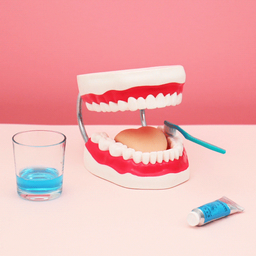 Dental Teeth GIF by Katy Beveridge Studio