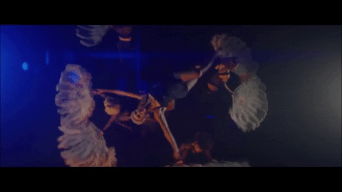 All That Jazz Dancing GIF - Find & Share on GIPHY