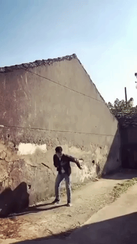 Awesome Jump in animals gifs