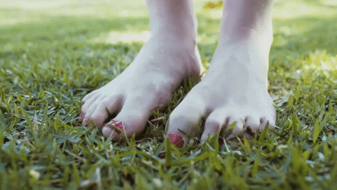 Image result for barefoot on grass gif